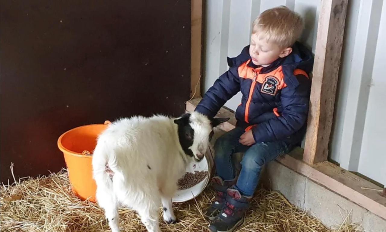 Noordbeemster Vakantieboerderij Huize Nuis מראה חיצוני תמונה